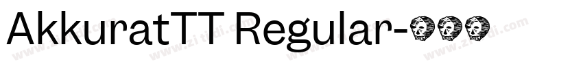 AkkuratTT Regular字体转换